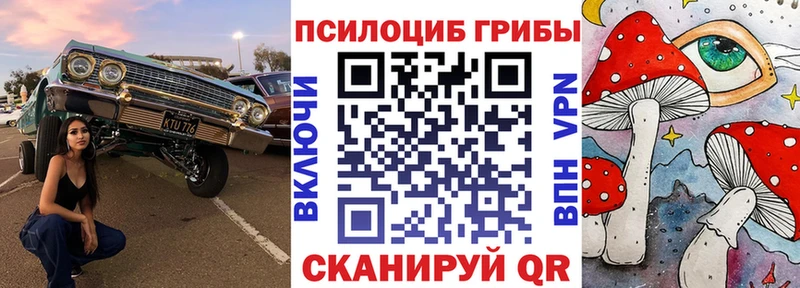 как найти   Покровск  Галлюциногенные грибы мухоморы 
